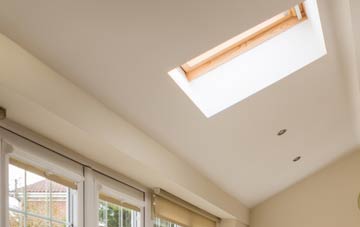 Trelion conservatory roof insulation companies