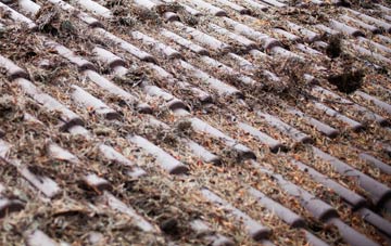 Trelion roof cleaning companies