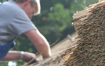 professional Trelion thatchers