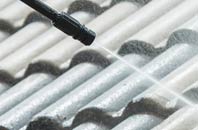 rated Trelion roof cleaning companies